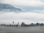Áustria, Salzburgo, Kaprun, Foggy manhã em Kaprun — Fotografia de Stock