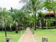 Tailandia, Chang Wat Phang-nga, Tambon Khuekkhak, Laguna Resort, Khao Lak, pasarela a través del parque verde - foto de stock