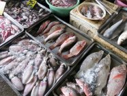 Tailandia, Chang Wat Phang-nga, Tambon Khuekkhak, mercado de pescado en Takuapa - foto de stock
