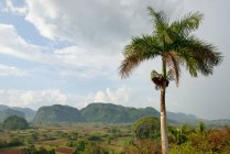 Куба, Пінар-дель-Ріо, Vinales, переглянути від готелю Los Jazmines в долині Vinales — стокове фото