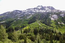 Estados Unidos, Alaska, Skagway, naturaleza prístina de Alaska, bosque y montañas vista - foto de stock