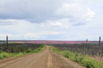 Canada, Yukon Territory, Yukon, Dampster Highway Judging North — Stock Photo