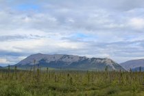 Canada, Yukon Territory, Yukon, On the Dampster Highway A juzgar por el norte, paisaje escénico con prado salvaje y montañas en el fondo - foto de stock