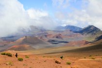 Соединенные Штаты Америки, Hawaii, Kula, Stone desert landscape — стоковое фото