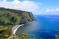 EUA, Havaí, Honokaa, Paisagem costeira panorâmica com falésias verdes ao sol — Fotografia de Stock
