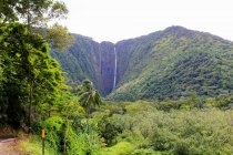 США, Гаваї, Honokaa, мальовничий краєвид з красивою природою і свої враження — стокове фото