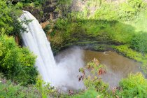 États-Unis, Hawaï, Waimea, Scène naturelle avec vue aérienne sur une cascade dans une forêt verte — Photo de stock