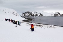Антарктида, группа людей, наблюдающих за пингвинами, стекающими по ледяной бухте — стоковое фото