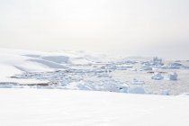 Antartide, paesaggio innevato panoramico — Foto stock
