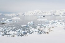 Antarctica, view of the expedition ship among glaciers — Stock Photo