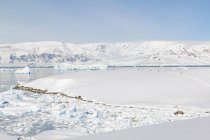 Antártida, paisaje congelado escénico en la luz del sol brillante - foto de stock