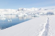 Antarctica, footprints in the snow, scenic frozen landscape in bright sunlight — Stock Photo