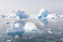 Antarktis, Eisberge im Wasser im Sonnenlicht — Stockfoto