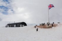 Antarctica, British Station 62, polar station and penguins near English flag — Stock Photo