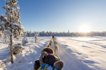 Sweden, Norrbottens, Kiruna, back view of husky sledging — Stock Photo