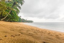 Africa, Praia Inhame Eco Lodge Beach - La spiaggia di Sao Tome e Principe, con palme sulla riva sabbiosa dal mare — Foto stock