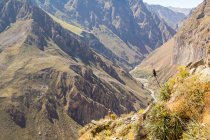 Peru, arequipa, blick auf die wanderung hinunter ins tal des colca-canyons — Stockfoto