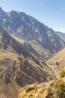 Peru, Arequipa, Observing view of valley of Colca Canyon — Stock Photo