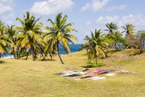 Madagascar, laundry drying on green grass at seashore — Stock Photo