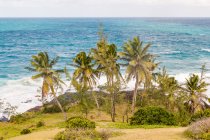 Madagascar, Aerial view of Indian Ocean and shore — Stock Photo