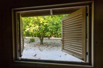 Сейшельские острова, вид из комнаты снаружи — стоковое фото