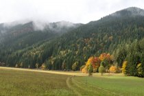 Austria, Carinthia, Ferlach,Bodental in autumn, scenic forest view — Stock Photo