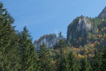 Austria, Carintia, Ferlach, Vista panorámica del Bodental en otoño - foto de stock