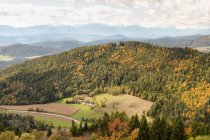 Scenic view of Magdalensberg at day, Carinthia, Austria — стоковое фото