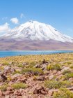 Cile, Regi? n de Antofagasta, El Loa, Laguna Miniques, panorama con vetta innevata — Foto stock