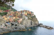 Vista de coloridas casas a lo largo de la costa mediterránea en Manarola, Liguria, Italia - foto de stock