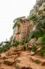Escalera de metal para escalar en la montaña, Sudáfrica, Western Cape, Cape Town - foto de stock