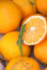 Gekko rastejando na pilha de frutas laranja no mercado — Fotografia de Stock