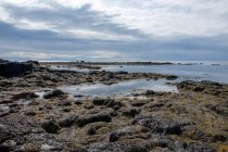 Скалистое побережье и облачное небо, Ytri Tunga Ytri Tunga, Исландия — стоковое фото