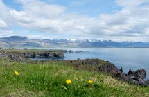 Paysage côtier avec herbe verte et ciel nuageux bleu, iceland — Photo de stock