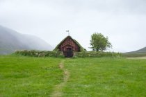 Exuberante hierba verde y la iglesia de turba, Islandia - foto de stock
