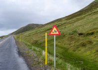 Овець тварин попередження знак на дорозі, Ісландія — стокове фото