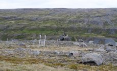 Hügellandschaft mit Zäunen und Felsen, Island — Stockfoto