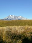 Nova Zelândia, Manawatu-Wanganui, Parque Nacional Tongariro, Tongariro Alpine Crossing, vista para a montanha sobre a estepe — Fotografia de Stock
