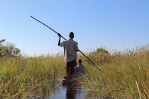 Botswana, delta de l'Okavango, contrôle africain Mokoro avec grand bâton, un Mokoro est un bateau creusé de quatre mètres de long — Photo de stock