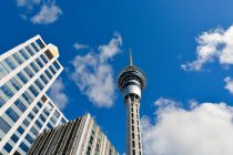 Nueva Zelanda, Auckland, Auckland Skytower al mediodía - foto de stock