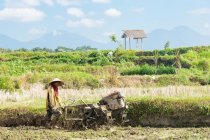 Homem local trabalhando em terraços de arroz, Bali, Indonésia — Fotografia de Stock