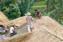 Les populations locales construisent un toit de chaume, Bali, Indonésie — Photo de stock