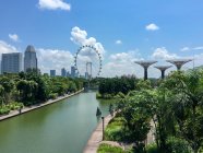Singapore, Nei giardini della baia con vista sul Singapore Flyer e i Supertrees lungo il fiume — Foto stock