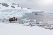 Antártica, Estação Britânica No61, pessoas em barcos por baía gelada com pinguim — Fotografia de Stock