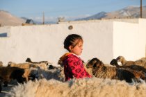 Tajikistan, shepherd girl at evening when sheeps come back to village Alichur — Stock Photo