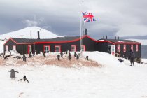 Antártida, estación británica No64, pingüinos con bandera británica cerca de la cabaña de la estación de madera - foto de stock