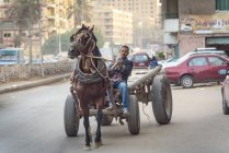 Hombre conduciendo un carro tirado por caballos en la carretera de la ciudad, El Cairo, El Cairo Gobernación, Egipto - foto de stock