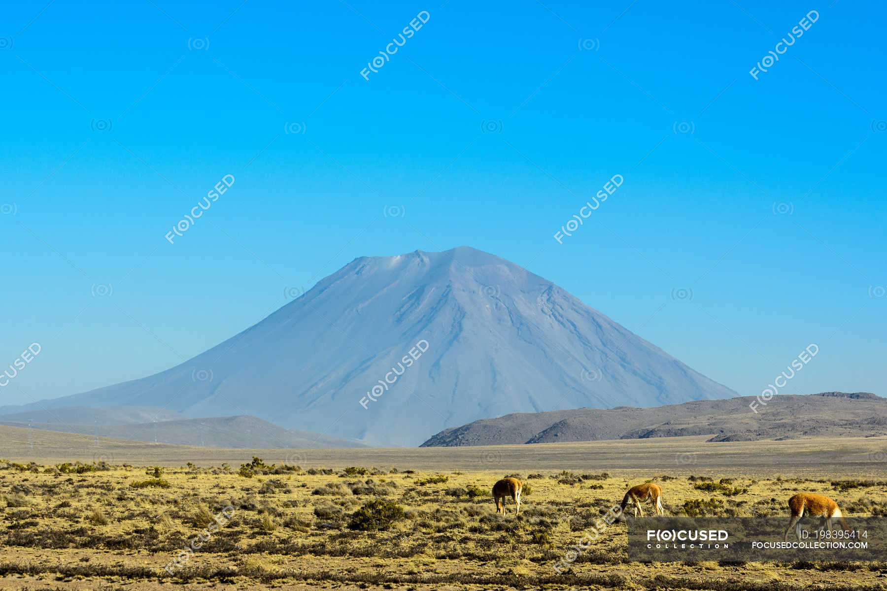 Национальный парк серенгети национальные парки танзании. Танзания сафари килиманджаро. Озеро натрон в танзании. Кратер нгоронгоро танзания. Африка вулкан килиманджаро.