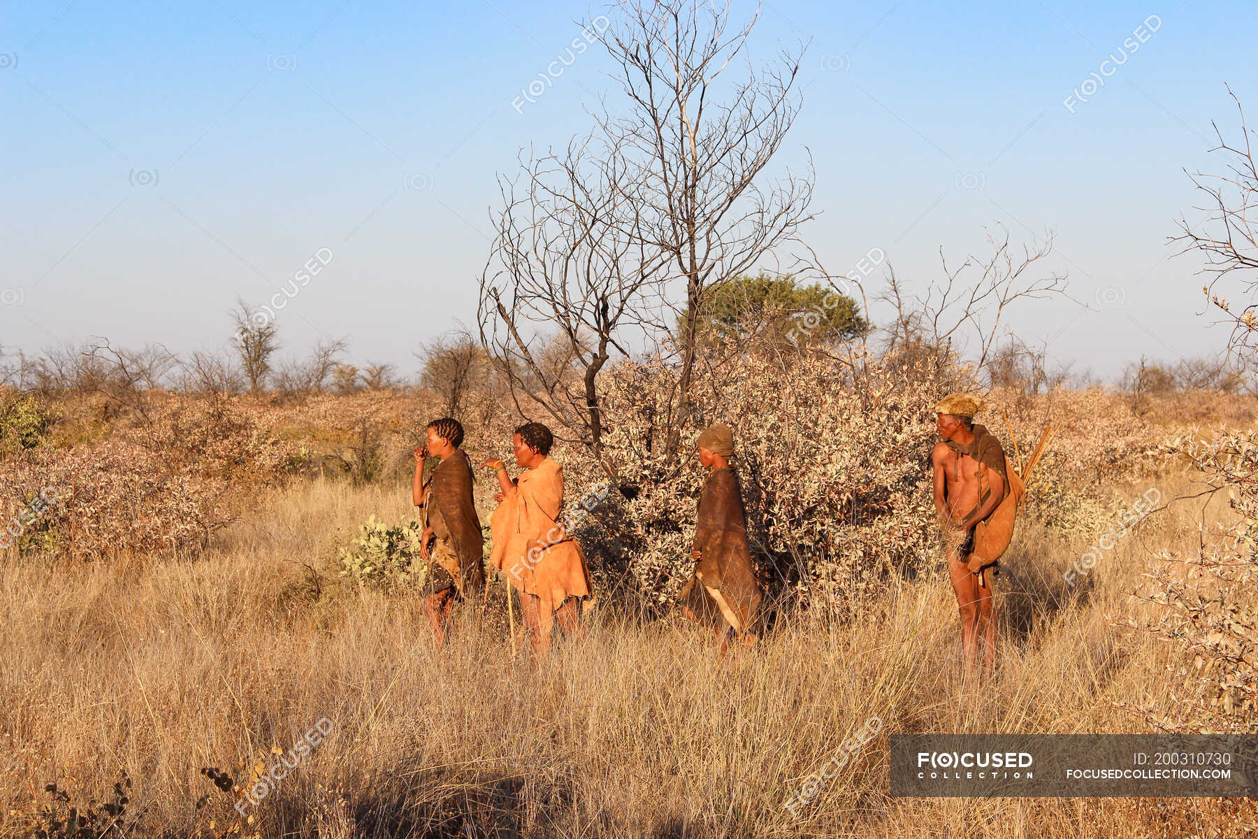 Namibia, Ghanzi Trailblazers, Safari, Bushwalk, Bushmen on the way