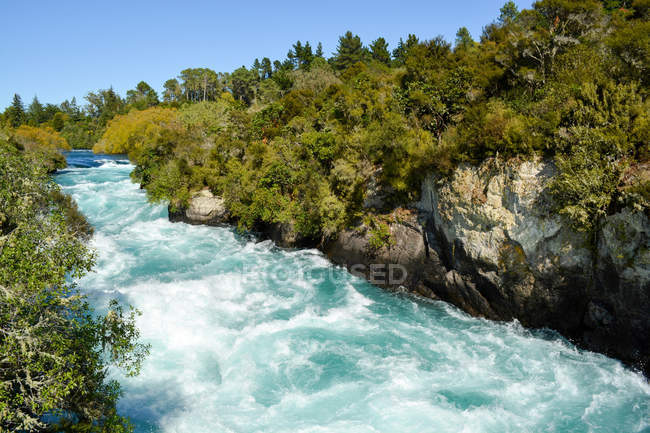 New Zealand, North Island, Waikato, Wairakei,  Huka Falls and forest in sunlight — Stock Photo
